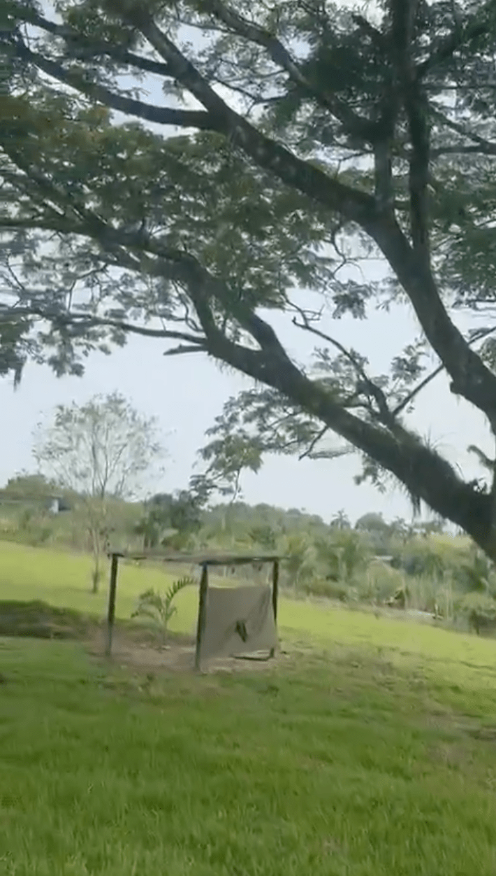 曝光的影片顯示了哥倫比亞空軍大力士運輸機墜毀前幾分鐘的情景。X@NoticiasCaracol
