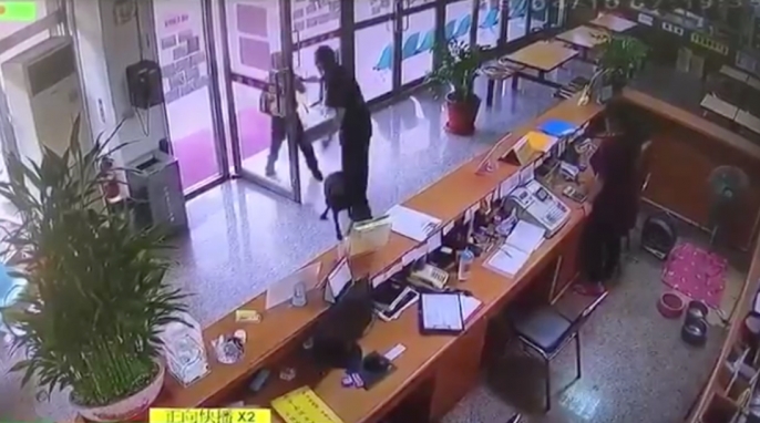 網圖