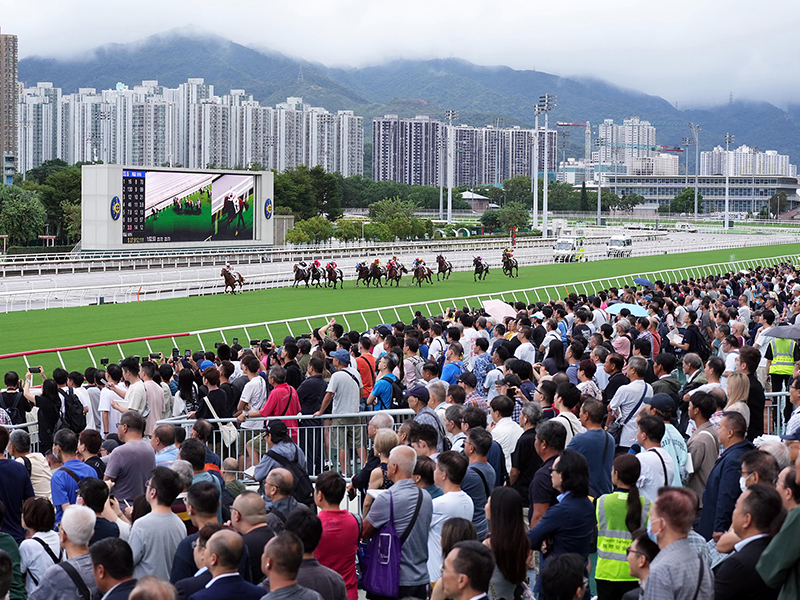 為慶祝中國香港隊的出色表現，馬場公眾席當日將免費開放予公眾。馬會提供