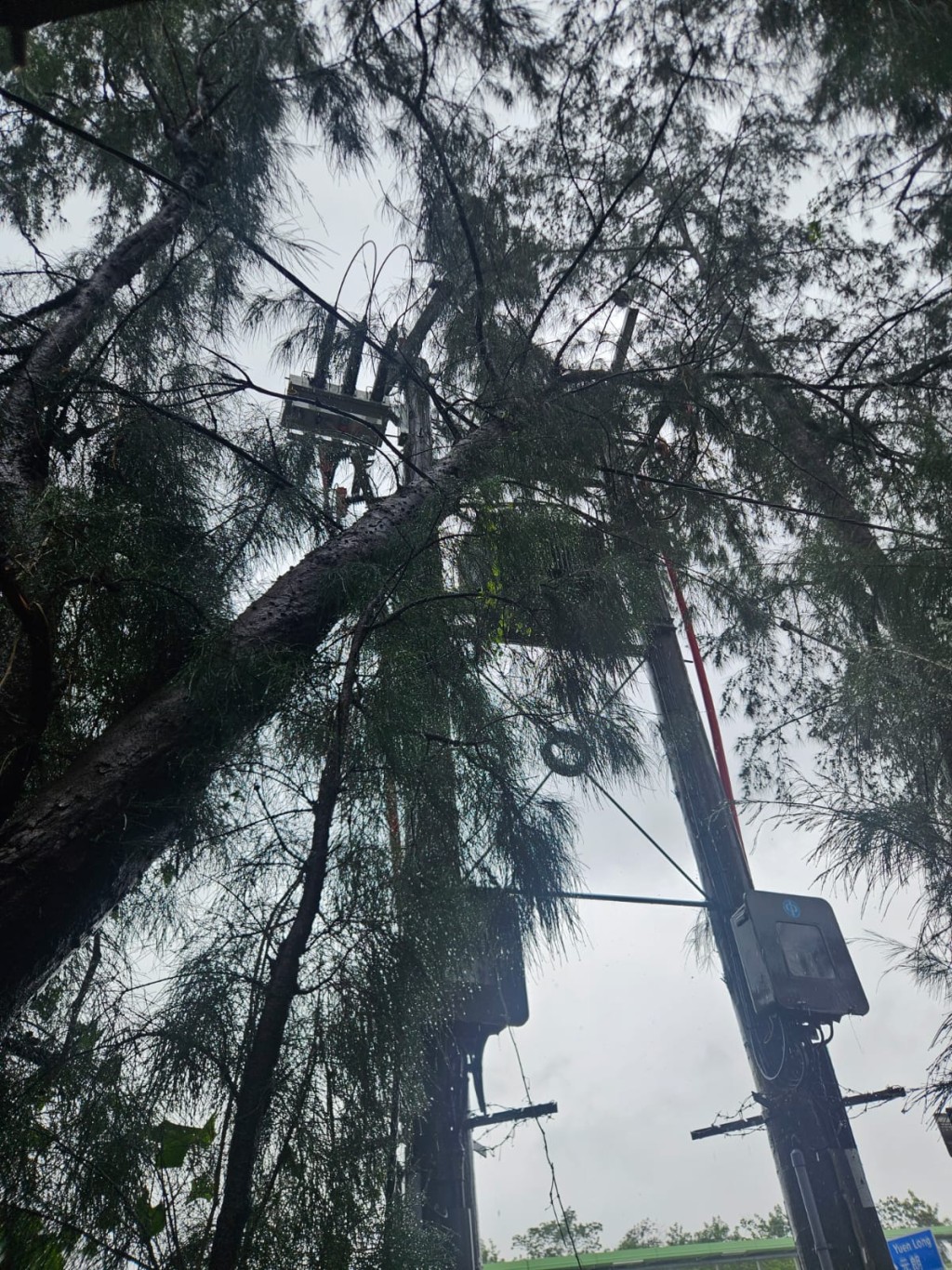 部分架空電纜及電力設備受強風及塌樹影響，導致部分新界地區客戶的電力供應受到影響。中電提供