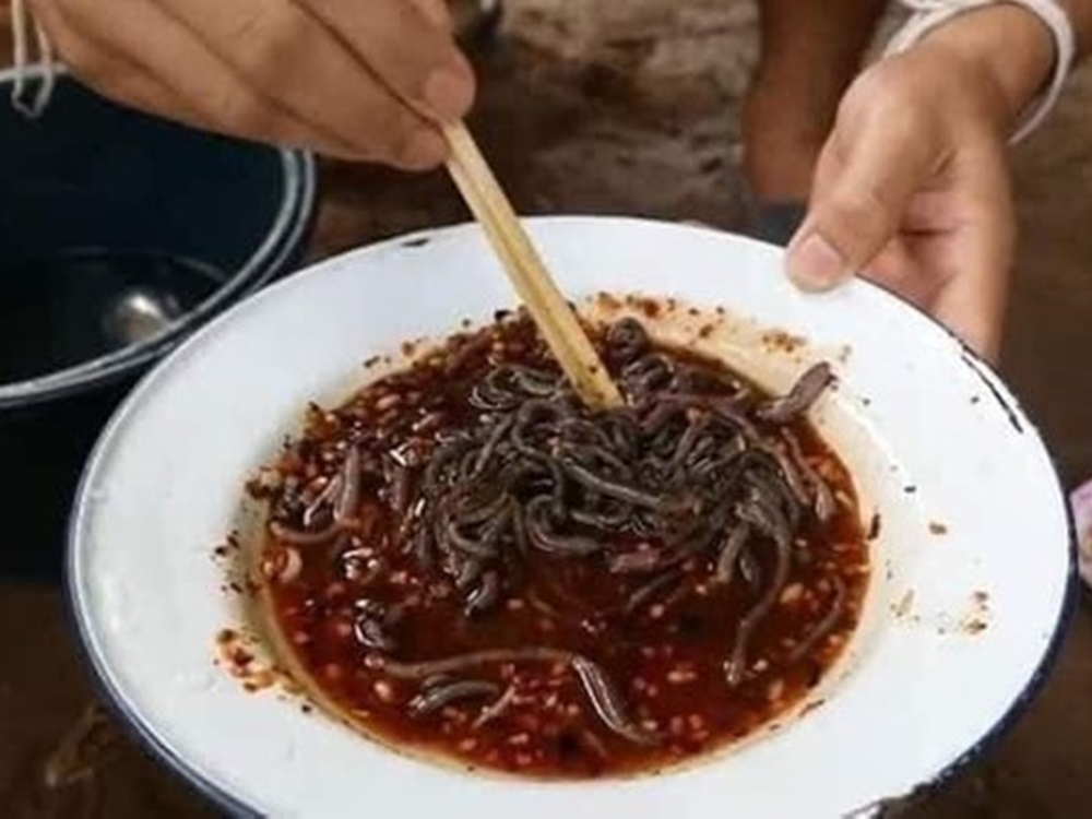 蚯蚓被浸在酸辣醬汁中,作「涼拌」食用。網圖