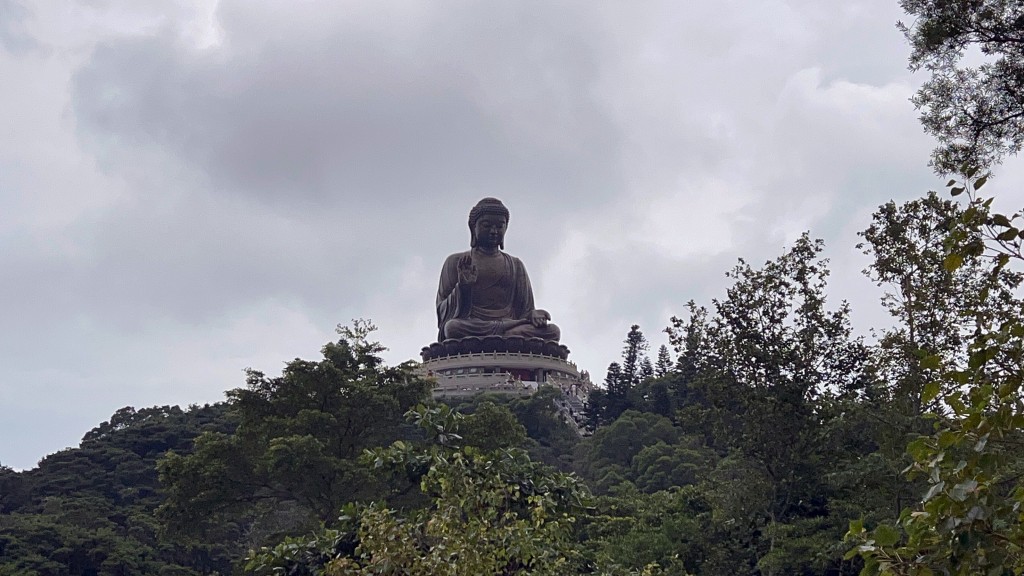 兩隻唐狗「大妹」和「細妹」重回寶蓮禪寺。楊偉亨攝