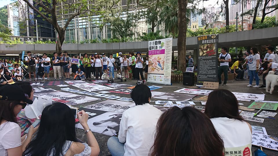 市民遊行要求保障動物權益。facebook愛動物零虐畜圖片