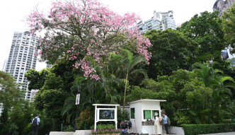 香港動植物公園有不少值得觀賞的植物，部分歷史非常悠久。
