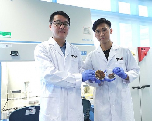 香港高等教育科技學院(THEi高科院)環境及設計學院環境學系副教授張浩博士(左)及THEi高科院園藝樹藝及園境管理(榮譽)理學士畢業生李佳鎮(右)進行研究,發現應用科技進行的快速檢測方法,可以縮短近半評估褐根病的時間。