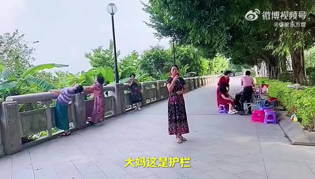 石栏杆当健身器材，大妈意外扯断砸腿后断成几截。　