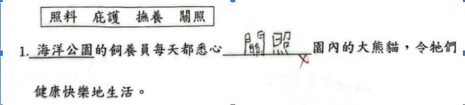 (圖片來源:受訪者提供) (圖片來源:受訪者提供)