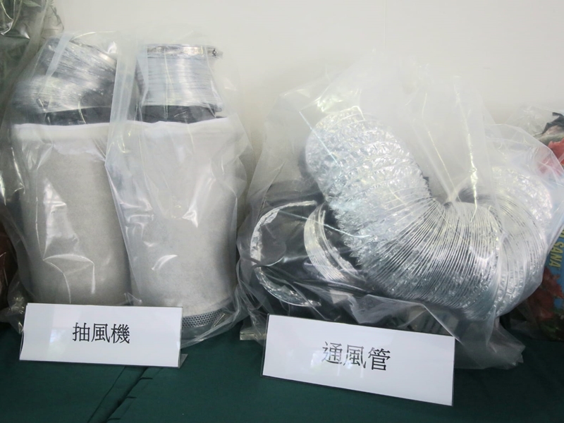 大麻種植場內設有抽風系統。