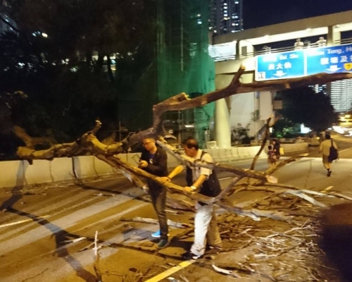 網民‎Ariel Lam攝。