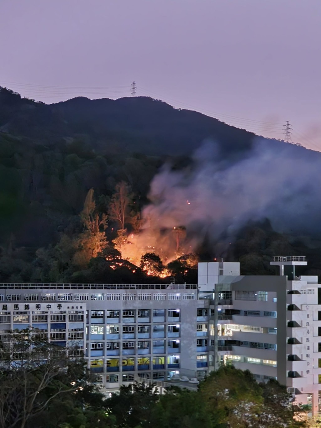 粉嶺華明邨對開山頭發生山火。網上圖片