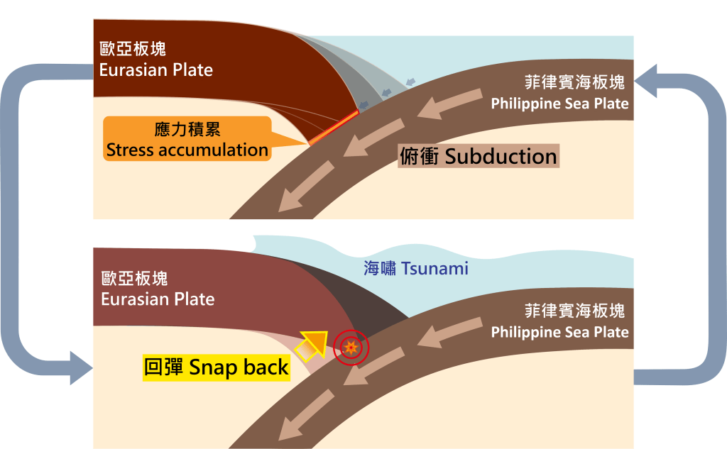 (上) 菲律賓海板塊俯衝至歐亞板塊之下，應力在兩塊板塊之間積累。(下) 歐亞板塊回彈以釋放累積的應力，產生地震及海嘯。天文台圖片