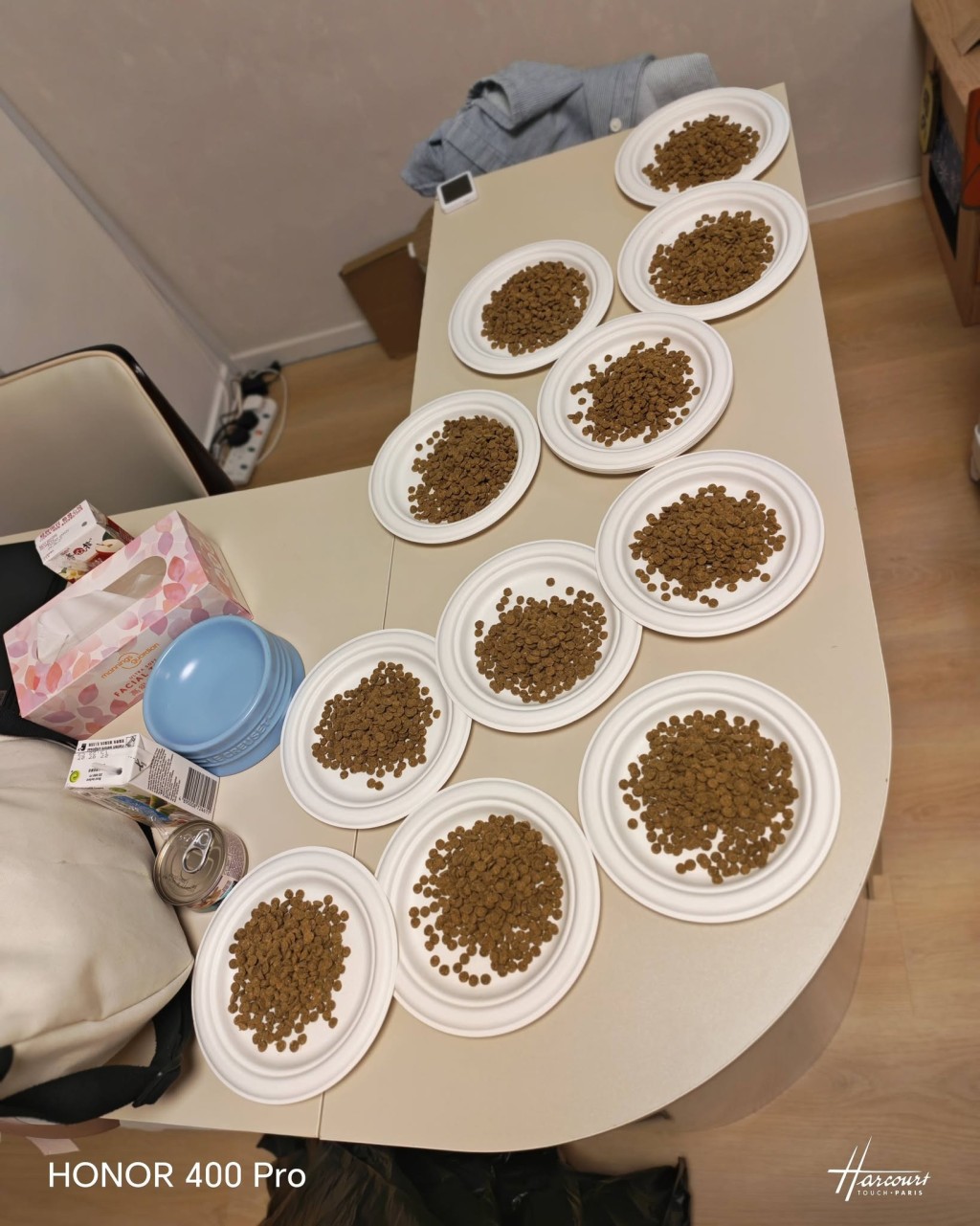 事發單位內貓咪獲熱心機構帶走照顧。FB:Easypet LTD 事發單位內貓咪獲熱心機構帶走照顧。FB:Easypet LTD