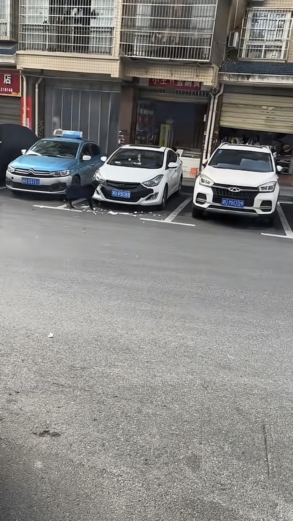 湖南私家車遭狗啃咬維修需千元。抖音@月月月來月乖