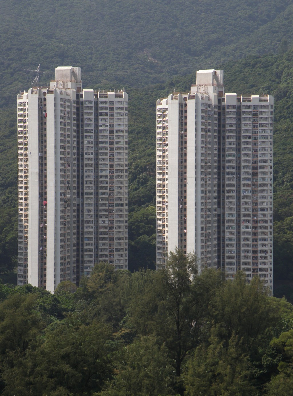 樓主獲派柴灣峰華邨秀峰樓。(維基百科圖片) 樓主獲派柴灣峰華邨秀峰樓。(維基百科圖片)