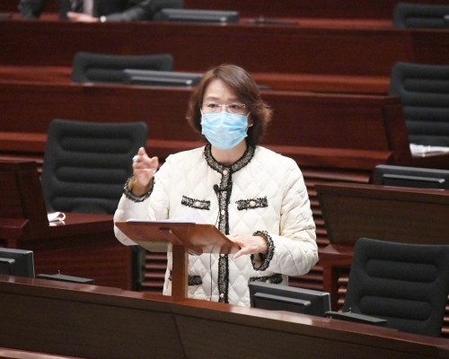 梁美芬建議內會尋求更多熟悉《議事規則》的法律意見。資料圖片