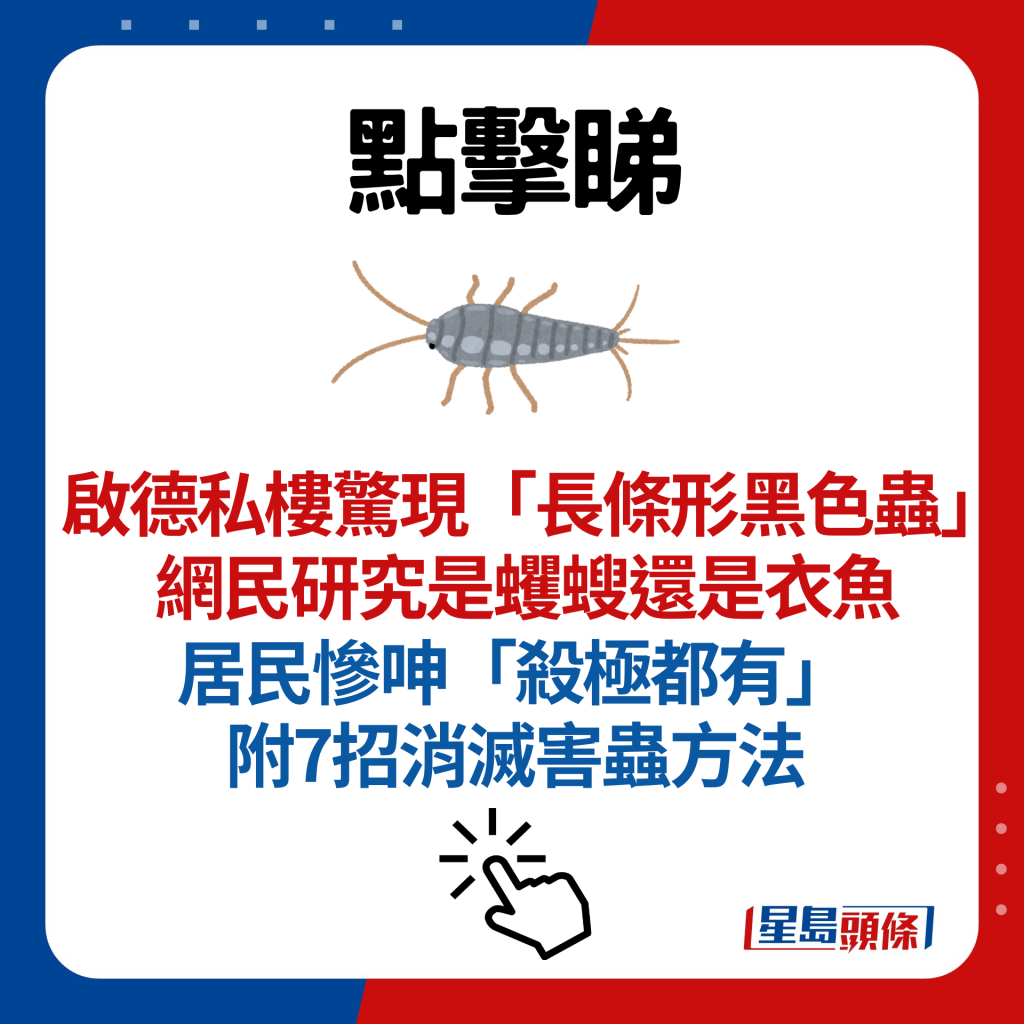 啟德私樓驚現「長條形黑色蟲」網民研究是蠼螋還是衣魚 居民慘呻「殺極都有」 附7招消滅害蟲方法