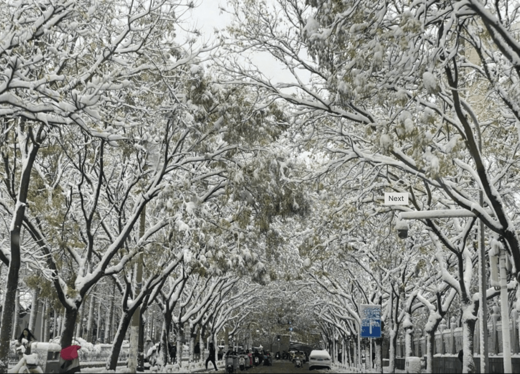 北京市日前迎来今冬初雪。人民日报