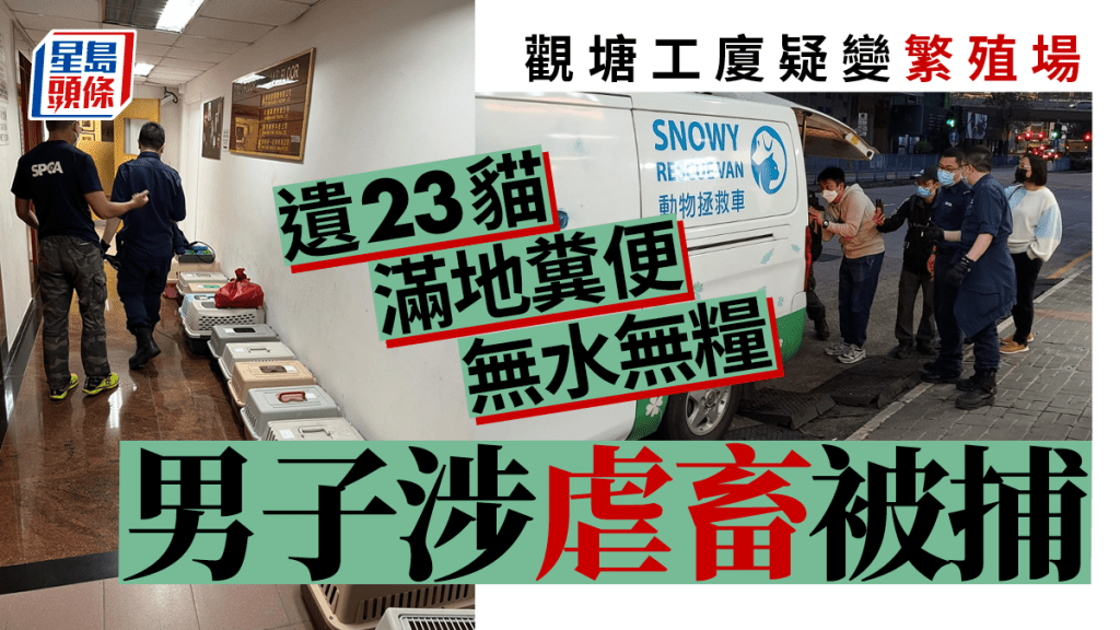 愛協督察其後把其中12隻送往愛協獸醫作進一步檢查。