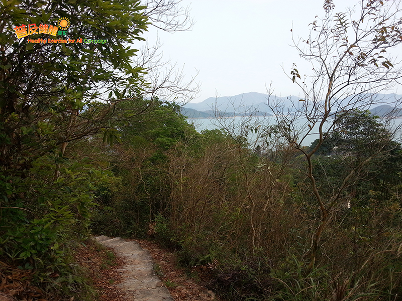 沿八仙嶺自然教育徑前行