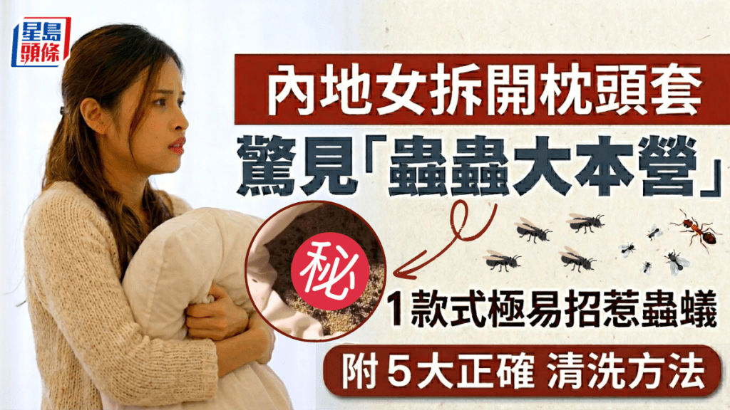 內地女拆開枕頭套 驚見「蟲蟲大本營」1款式極易招惹蟲蟻 附5大正確清洗方法