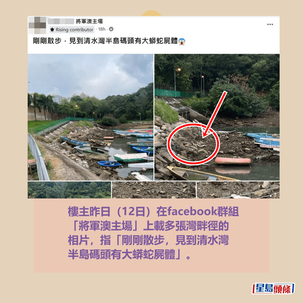 樓主昨日(12日)在facebook群組 「將軍澳主場」上載多張灣畔徑的 相片,指「剛剛散步,見到清水灣 半島碼頭有大蟒蛇屍體」。fb「將軍澳主場」截圖 樓主昨日(12日)在facebook群組 「將軍澳主場」上載多張灣畔徑的 相片,指「剛剛散步,見到清水灣 半島碼頭有大蟒蛇屍體」。fb「將軍澳主場」截圖