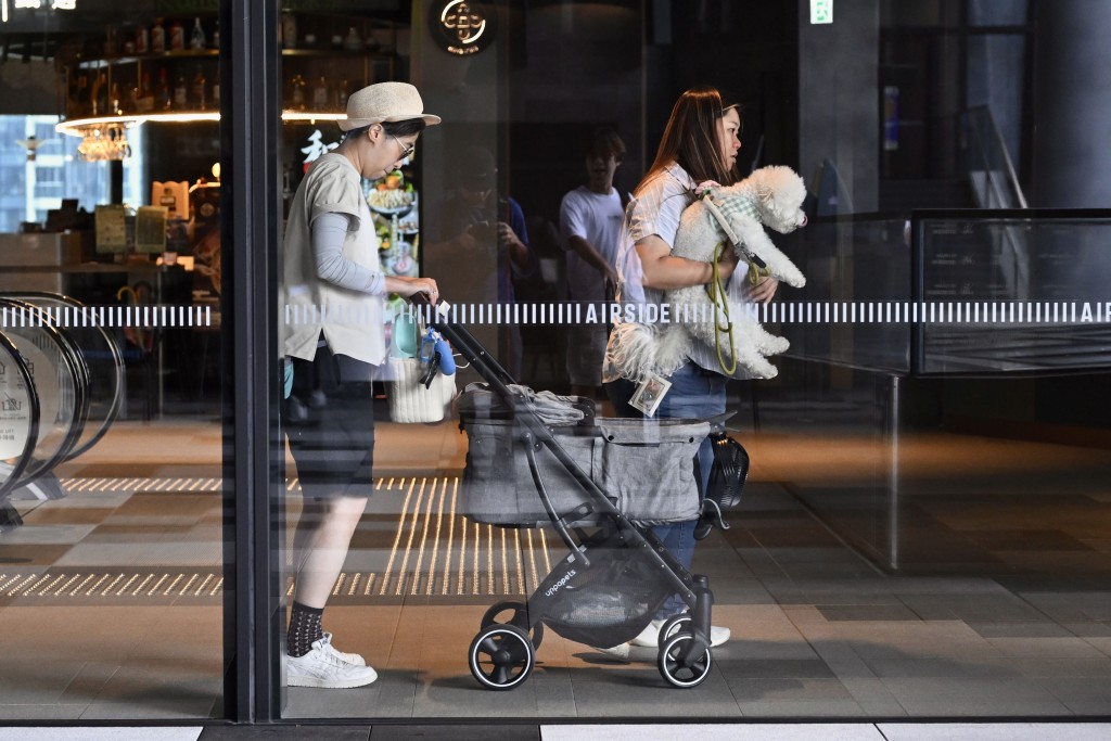 新一份《施政報告》宣布放寬《食物業規例》，讓食肆申請牌照容許狗隻進入餐廳。資料圖片