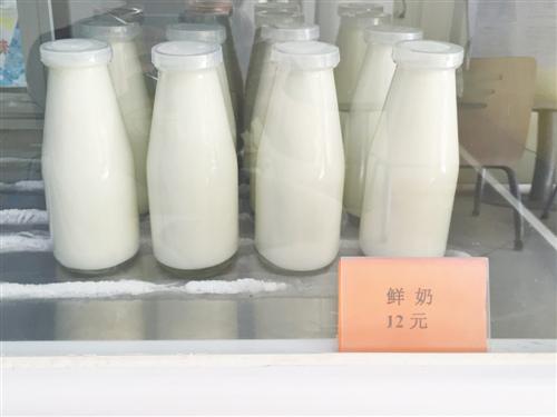 中国奶业扩展快。