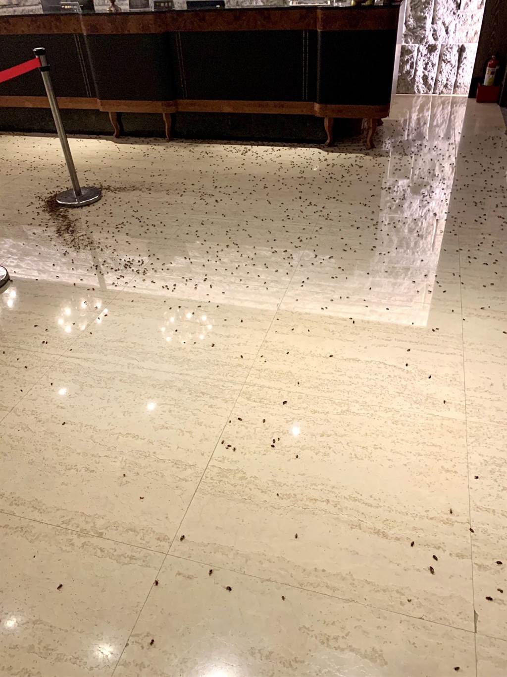 歹徒昨晚在台灣警方聚餐上投擲上千隻蟑螂，令台灣社會震驚。網上圖片