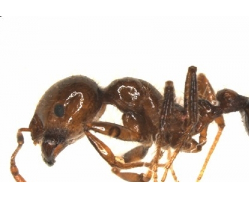 新華社資料圖片