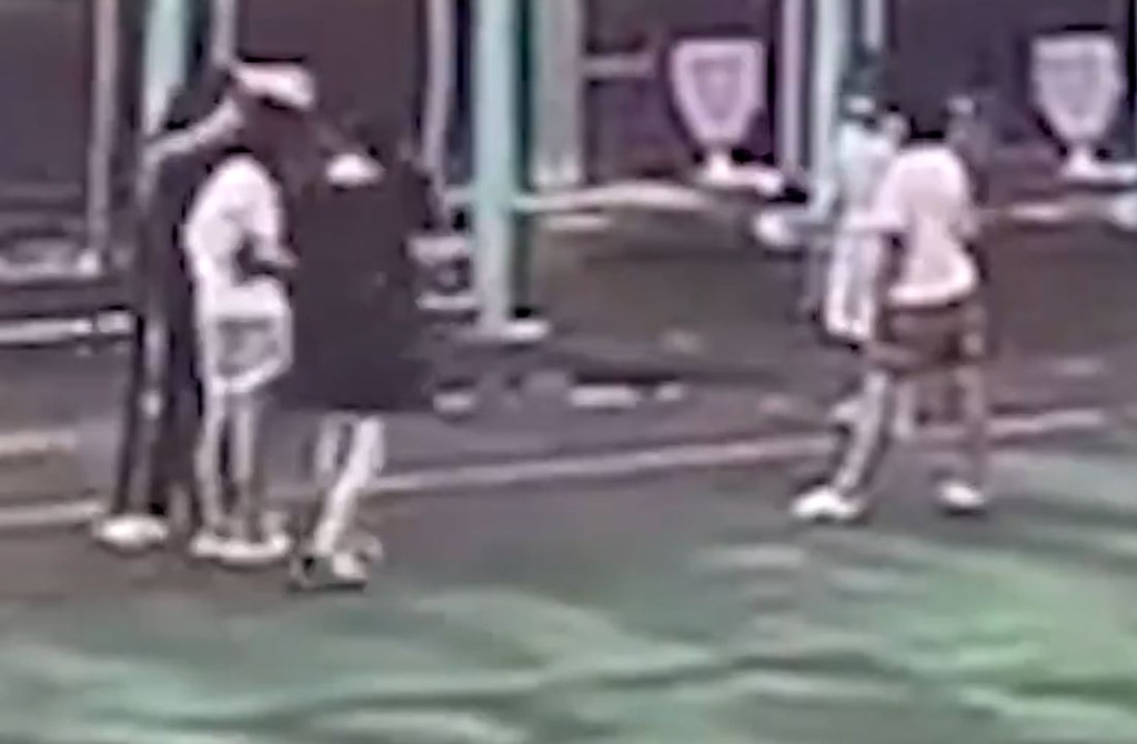 6岁孖生姐妹在两名较年长的邻居唆使下互殴。影片截图