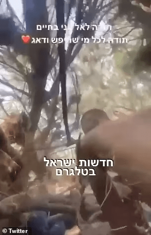 哈馬斯血洗音樂節中，有網上片段顯示一眾樂迷趴地躲在草叢中。