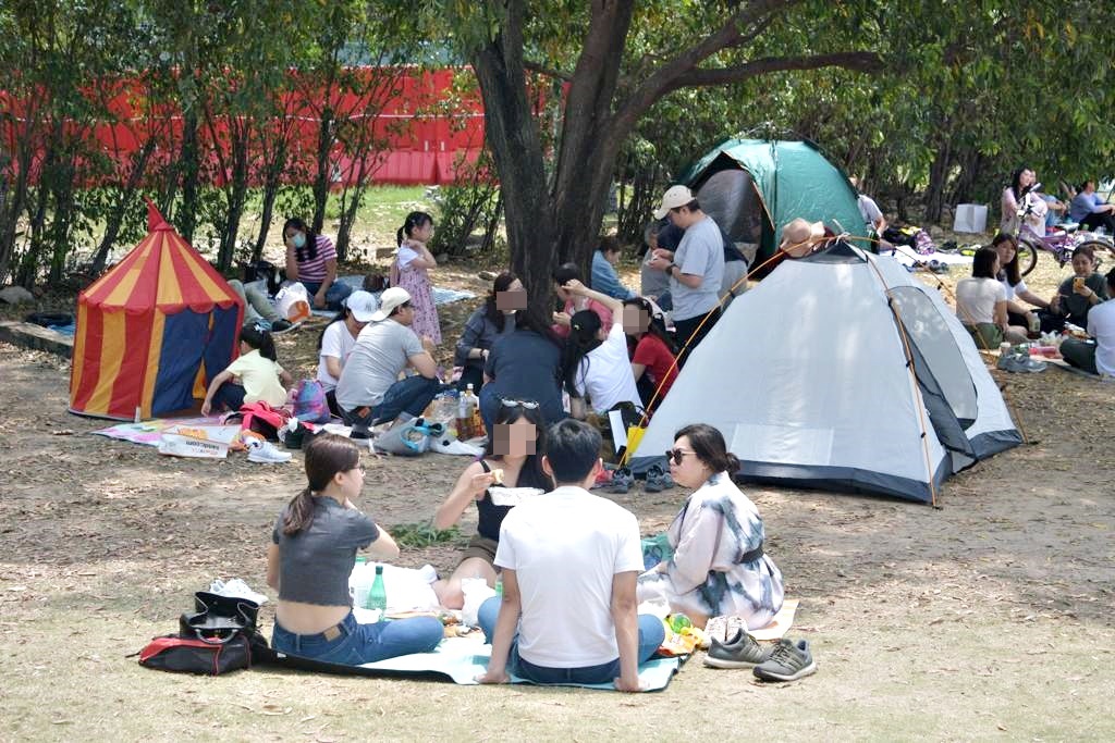 大批市民在西九文化區草地聚會。