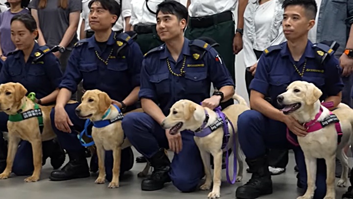 8隻搜查犬肩負使命。海關影片截圖