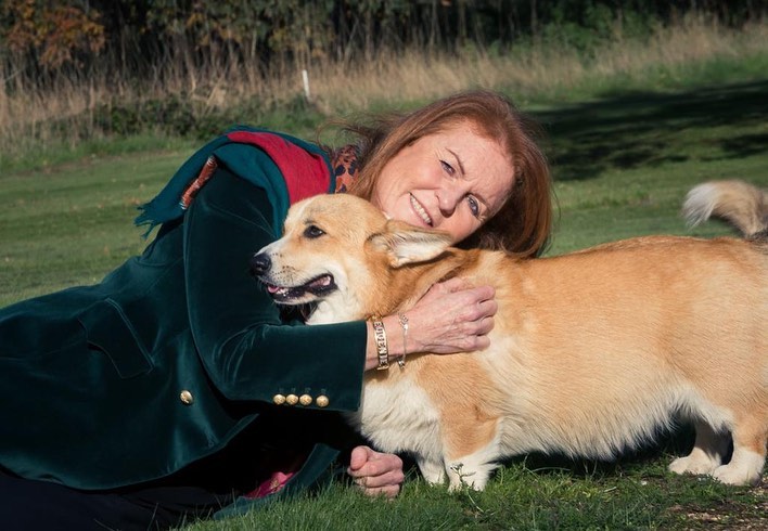 是次亦是自从女皇去世以来，她的爱犬首度亮相。网图