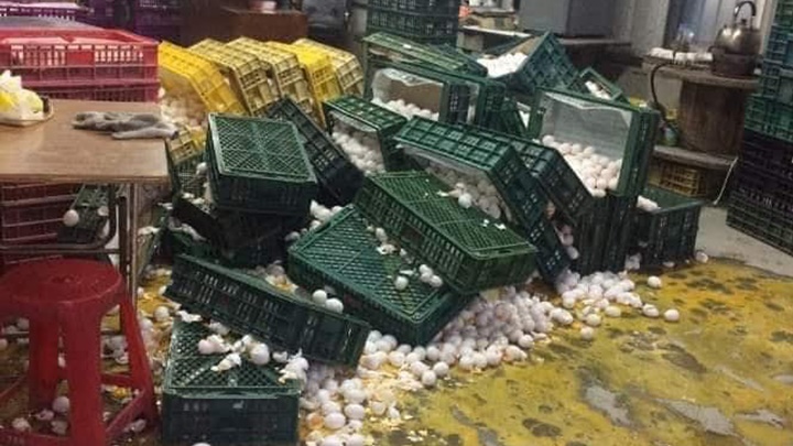 台灣發生地震後網上流傳雞蛋翻倒相片,令不少網民大嘆「心痛」。網上圖片