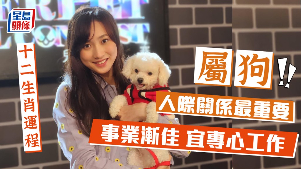 生肖運程|屬狗事業漸佳 宜專心工作 不要為自己製造阻力 人際關係最重要
