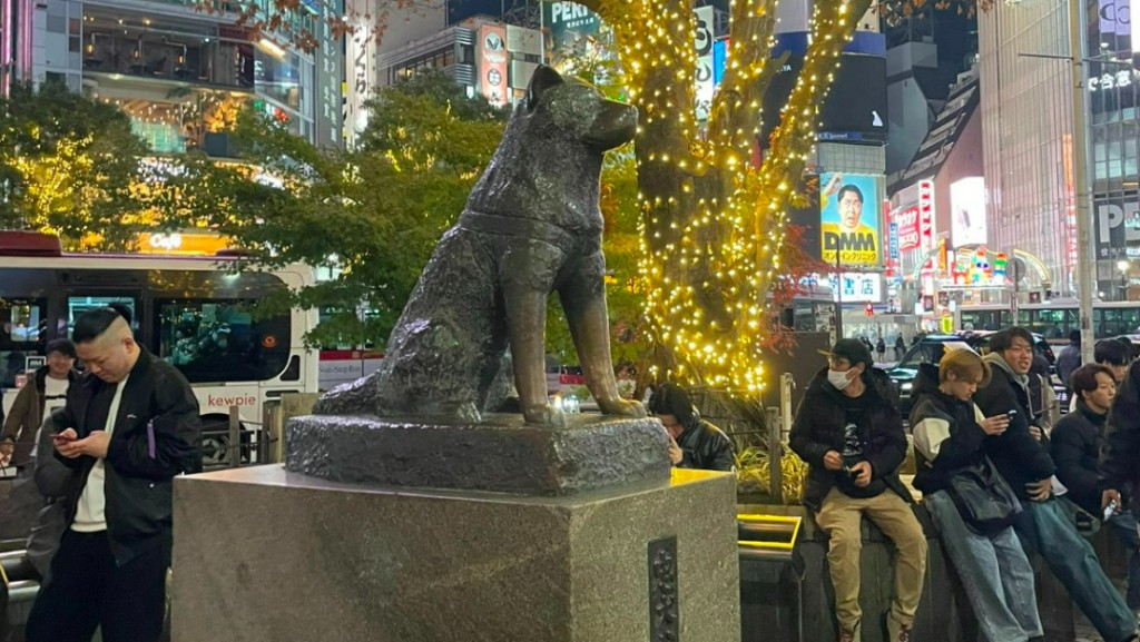 澀谷知名地標忠犬八公像周邊晚上經常有人群聚集。X＠kazuyuki_sasaki