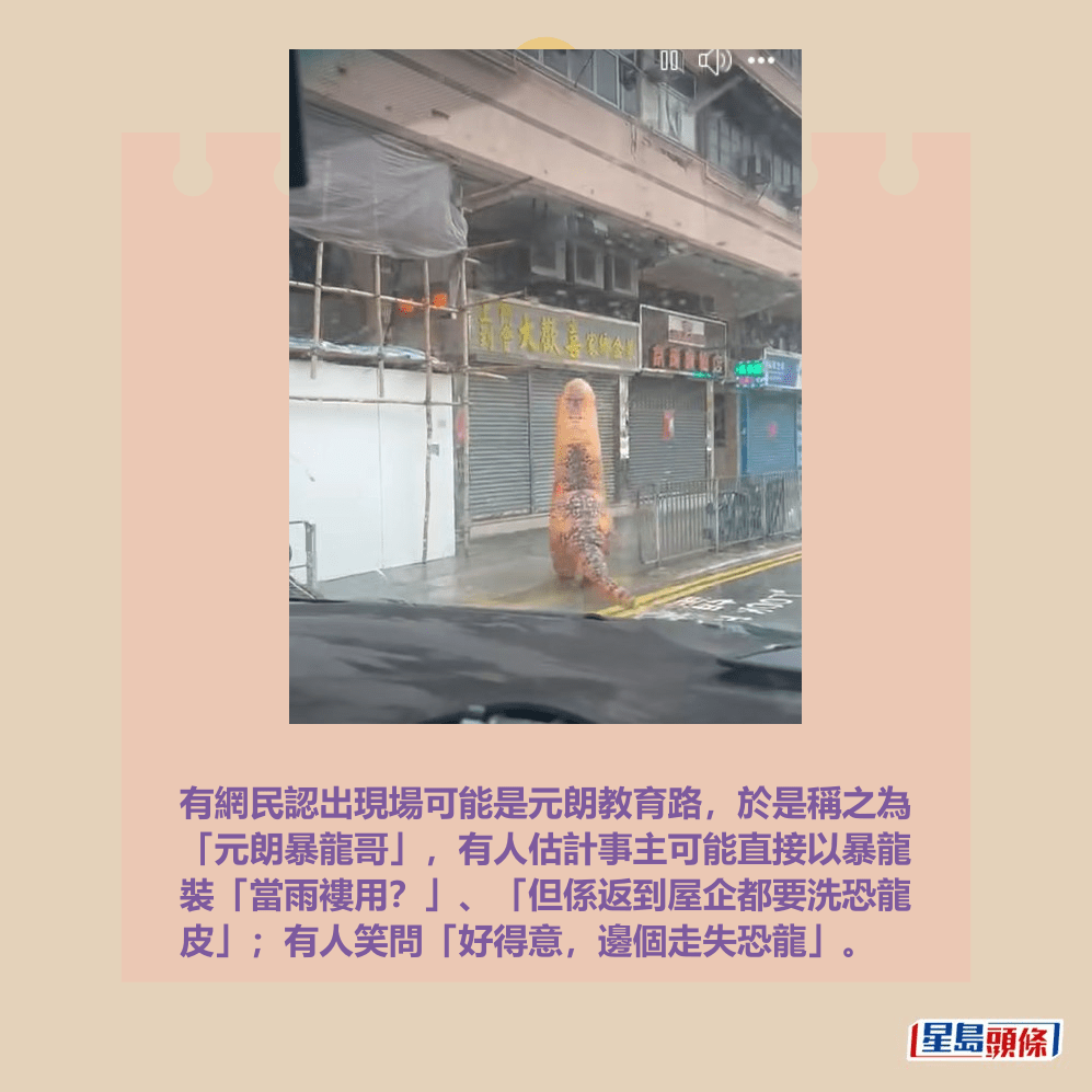 有網民認出現場可能是元朗教育路，於是稱之為 「元朗暴龍哥」，有人估計事主可能直接以暴龍 裝「當雨褸用？」、「但係返到屋企都要洗恐龍 皮」；有人笑問「好得意，邊個走失恐龍」。fb「大埔 TAI PO」截圖