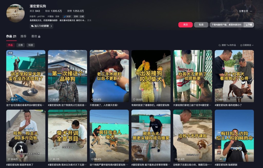 網紅馴狗師潘宏馴狗手法屢陷虐待質疑。