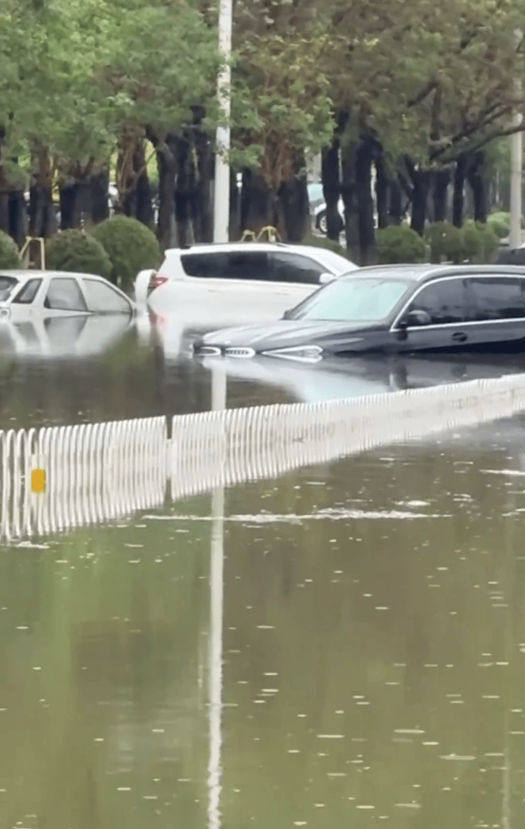 暴雨下，渖阳路面不少汽车「死火」。