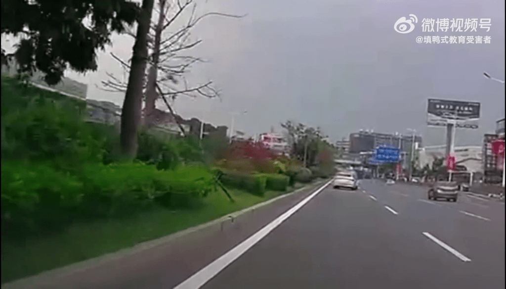 車CAM影片可見，的士已駛至白色車的前方。