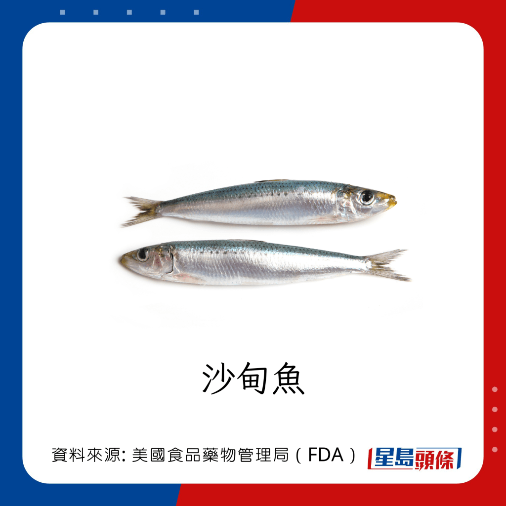 低水銀魚類 沙甸魚