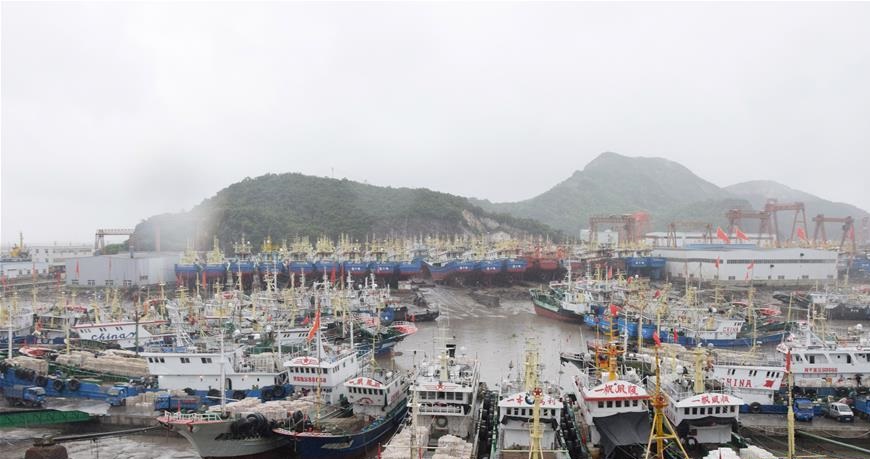颱風小犬逼近，大批漁船已返回港中避風。新華社
