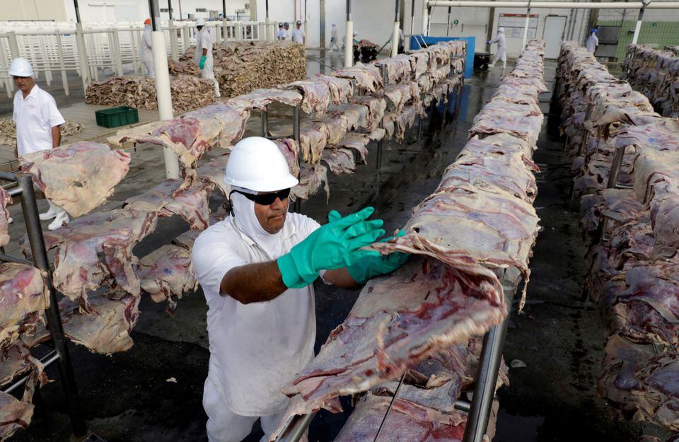 中澳关系改善，澳洲三大肉商获准再向中国输出产品。路透社