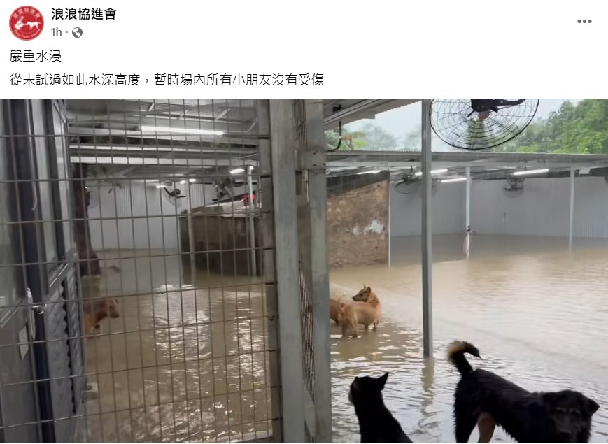 「浪浪協進會」帖文。fb「浪浪協進會」截圖
