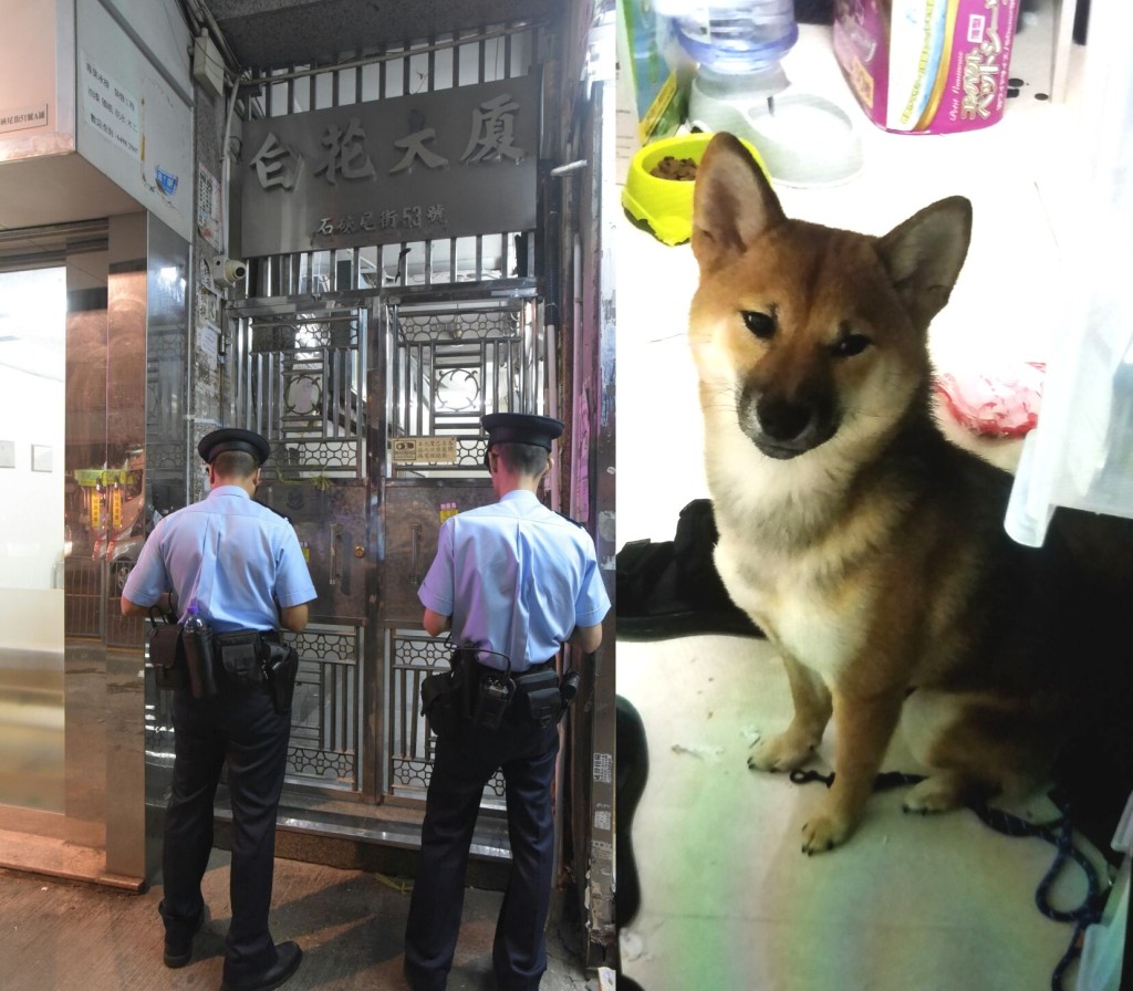 女戶主的柴犬(右圖)一度失蹤,警方到場調查。黃文威攝