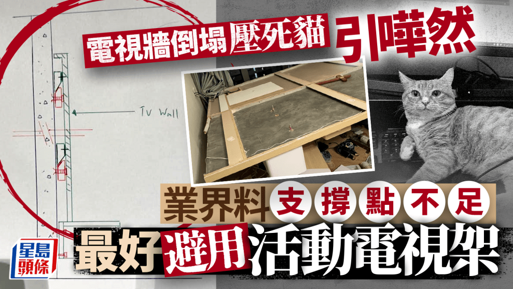 電視牆倒塌壓死貓引嘩然 業界稱情況不常見 料支撐點不足 選用固定式電視架較安全