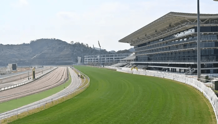 從化馬場的草地、大看台等設施。中新社