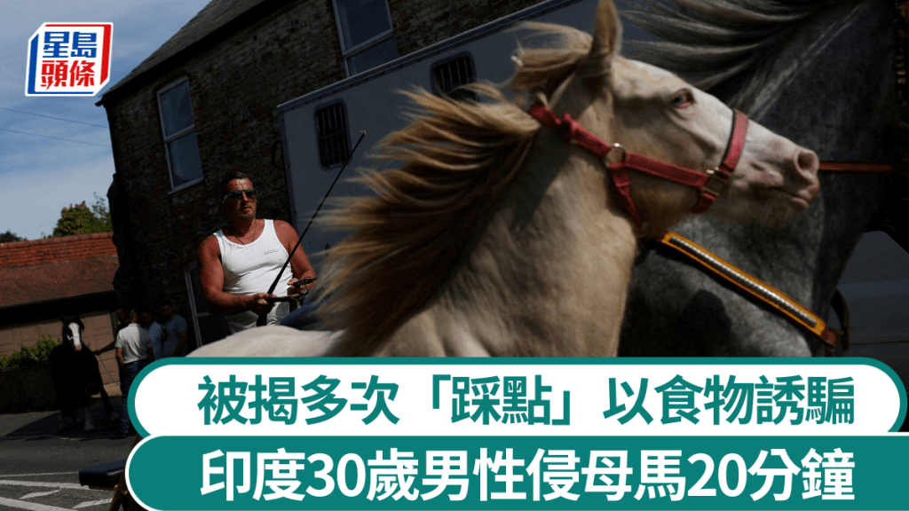 印度男子性侵母馬被捕。路透社示意圖  