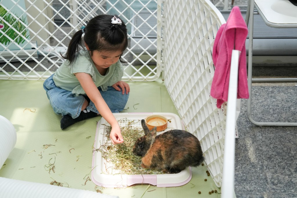逾20家庭即場申請領養,流浪動物終獲新生。 逾20家庭即場申請領養,流浪動物終獲新生。
